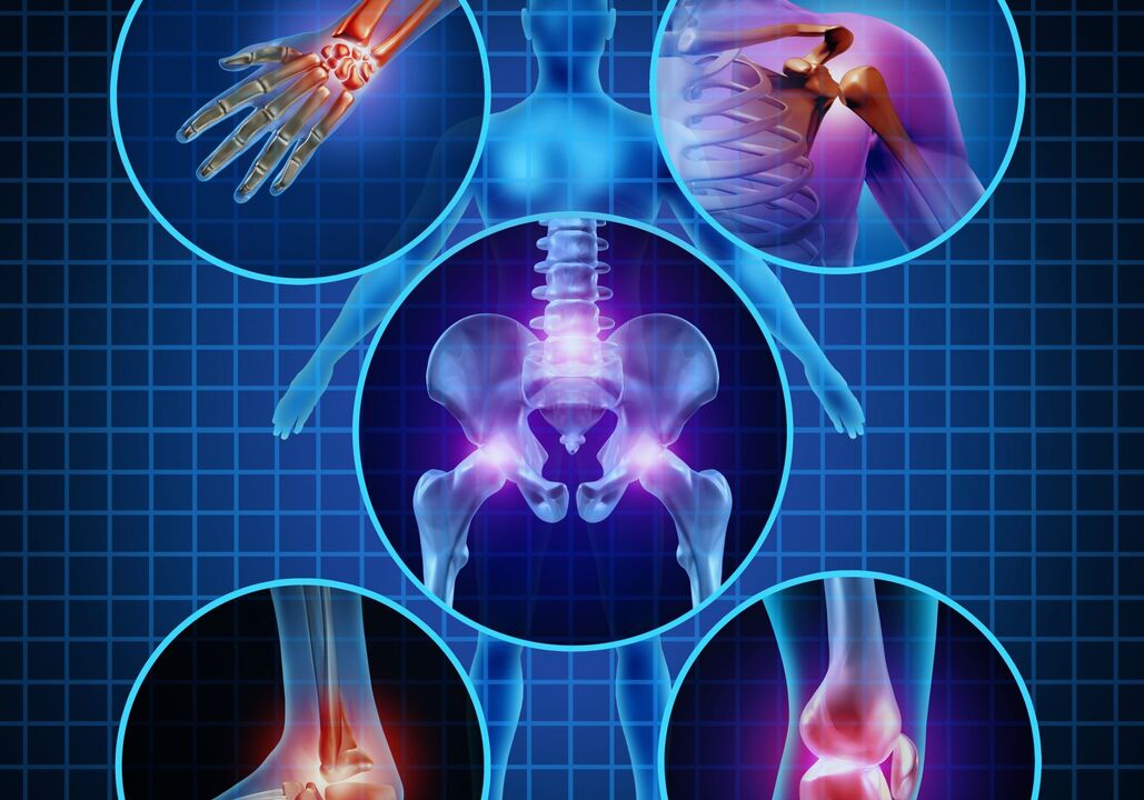 Articulations pouvant être affectées par l'arthrose